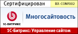 Курс: многосайтовость